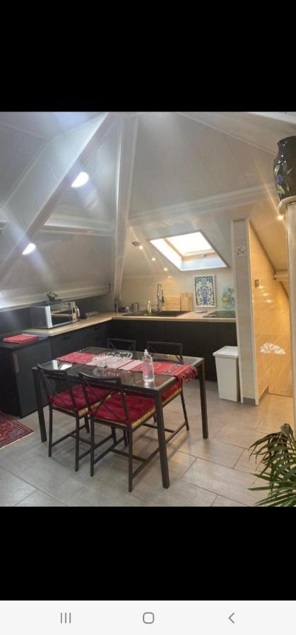 Appartement T Luxe 塞纳河畔皮埃尔菲特 外观 照片