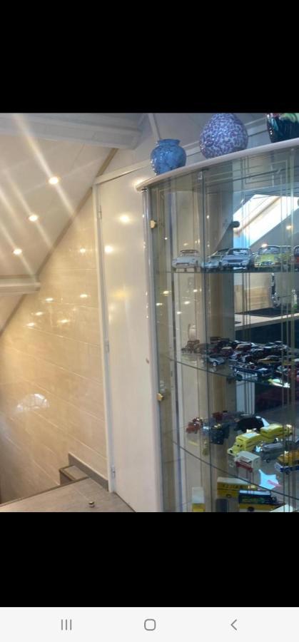 Appartement T Luxe 塞纳河畔皮埃尔菲特 外观 照片