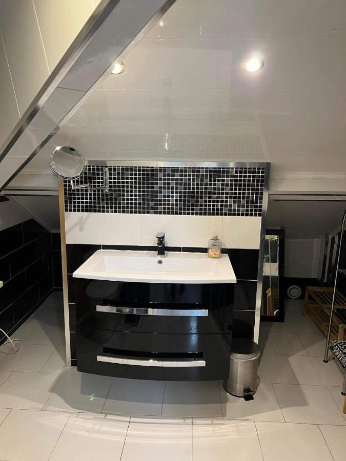 Appartement T Luxe 塞纳河畔皮埃尔菲特 外观 照片