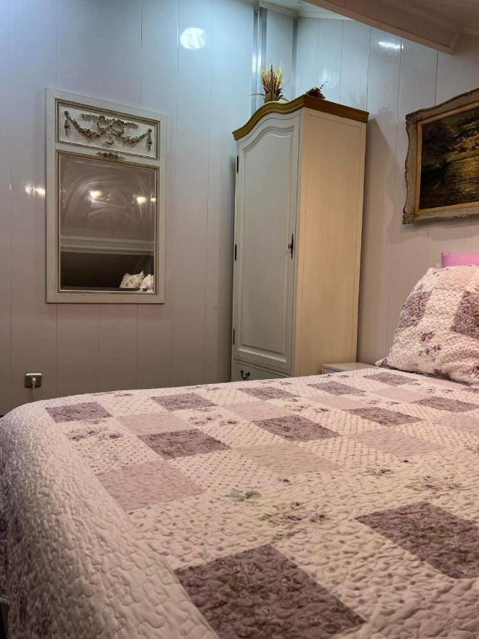 Appartement T Luxe 塞纳河畔皮埃尔菲特 外观 照片