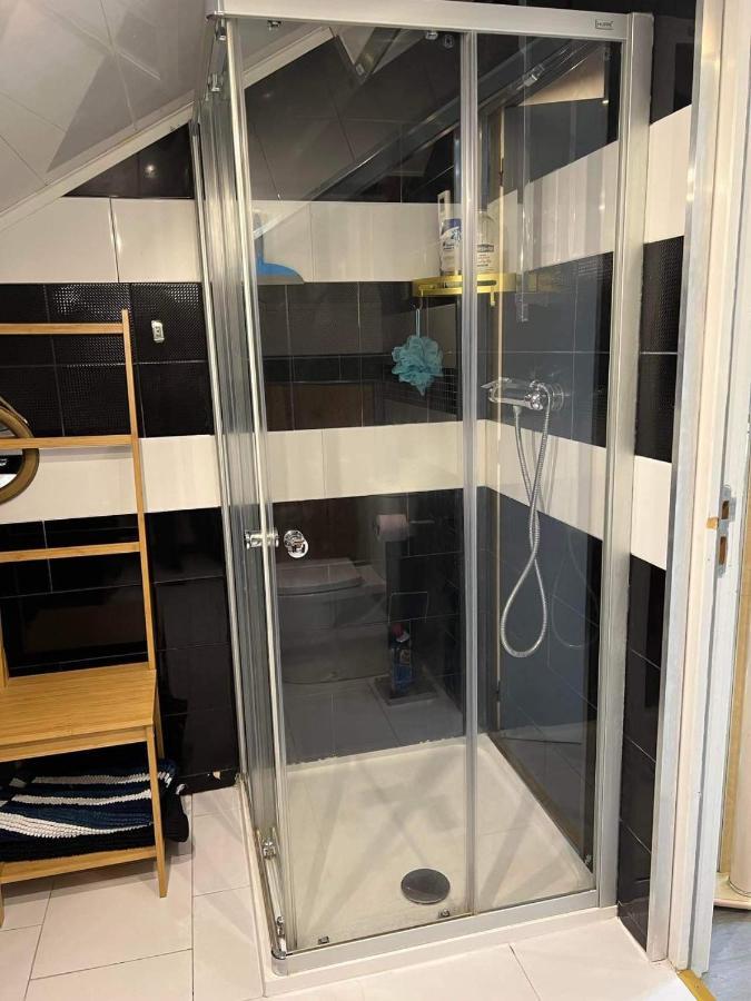 Appartement T Luxe 塞纳河畔皮埃尔菲特 外观 照片