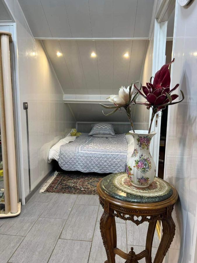 Appartement T Luxe 塞纳河畔皮埃尔菲特 外观 照片